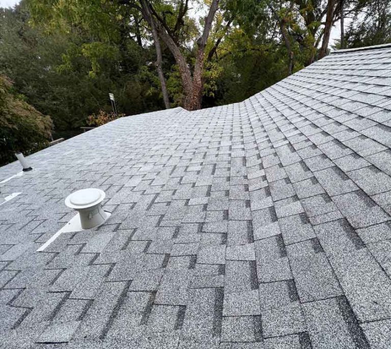 shingle roof