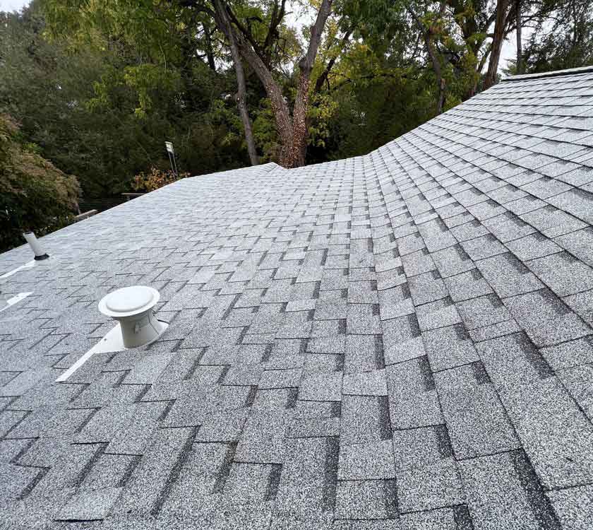 shingle roof